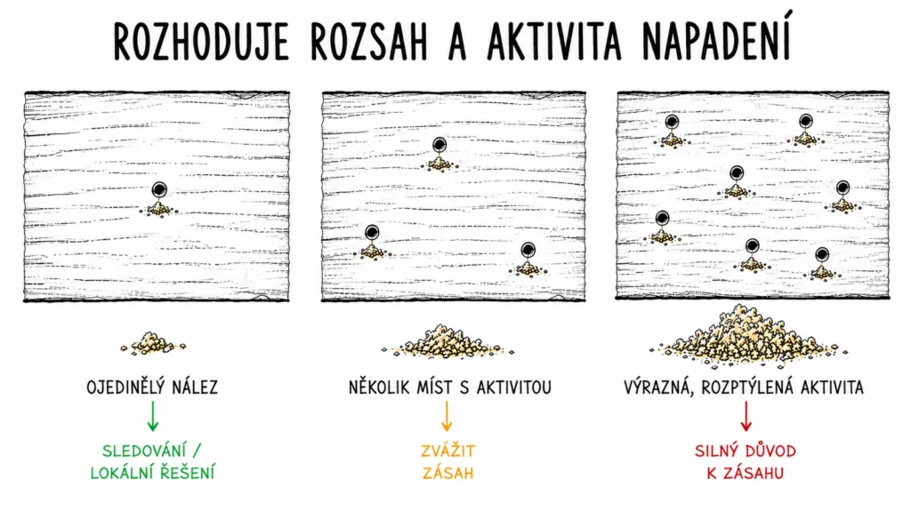 Tři trámy s přibývajícími výletovými otvory a drtí: ojedinělý nález, několik míst s aktivitou a výrazná rozptýlená aktivita